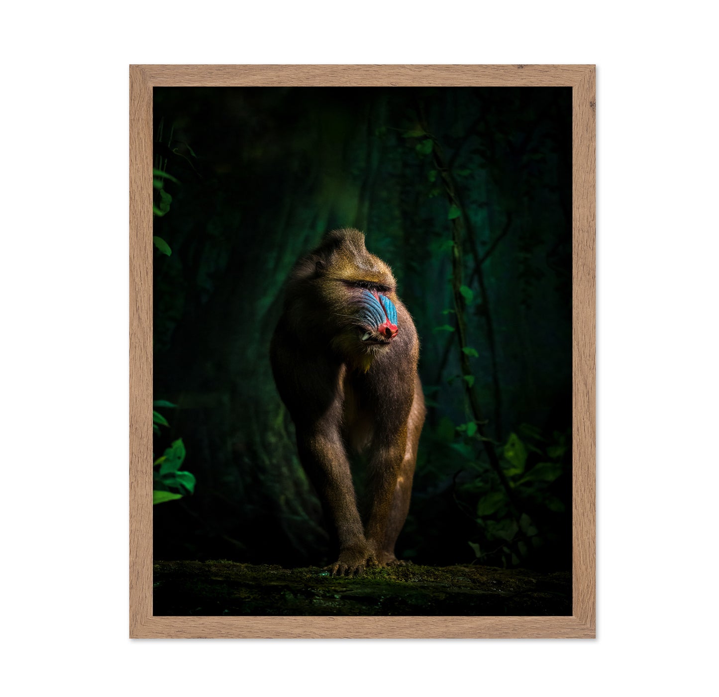 Trees And Beasts