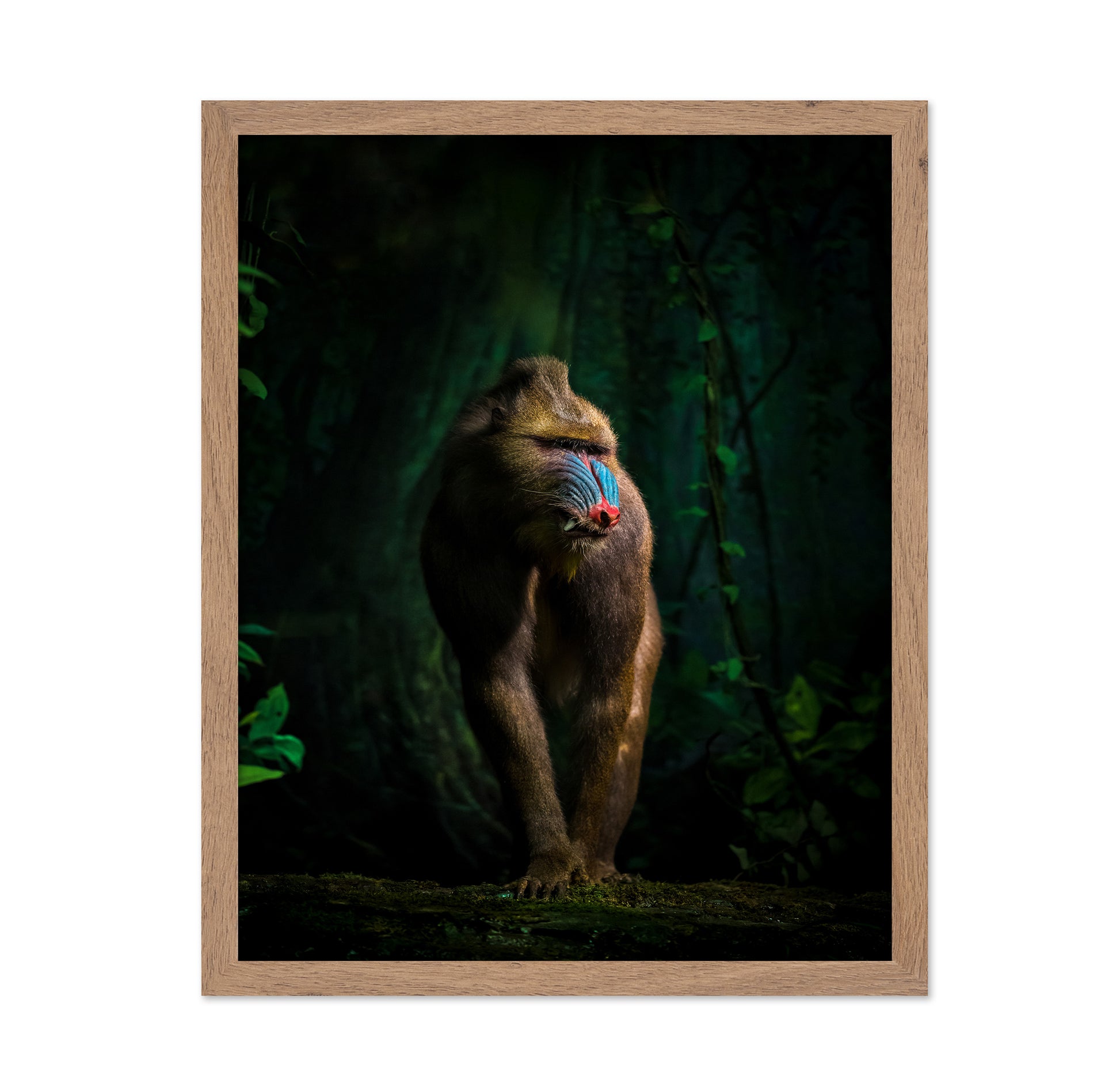 Trees And Beasts