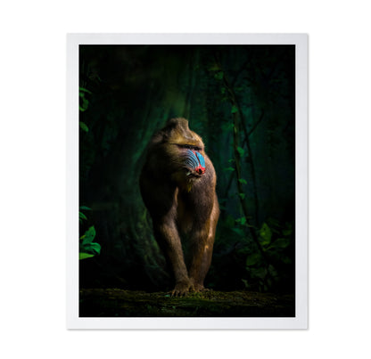 Trees And Beasts