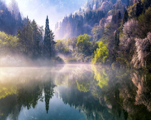 Morning Calm