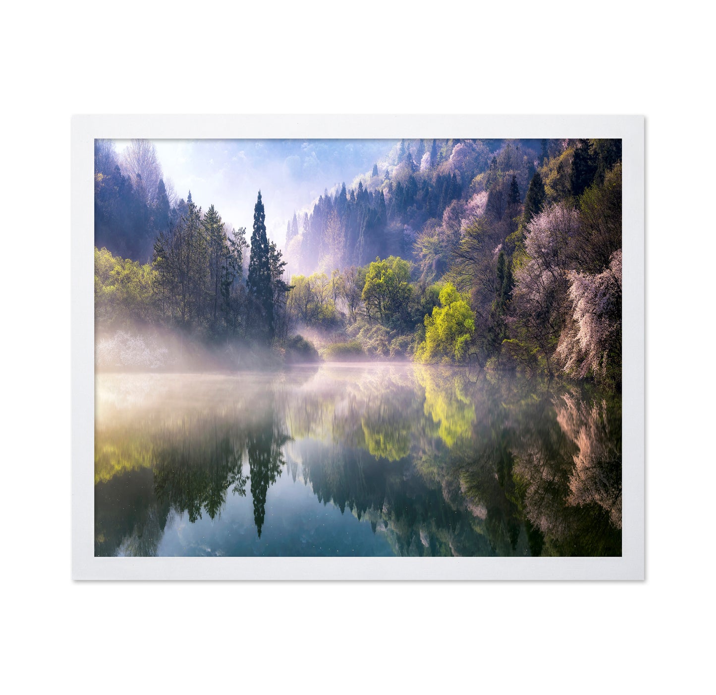Morning Calm