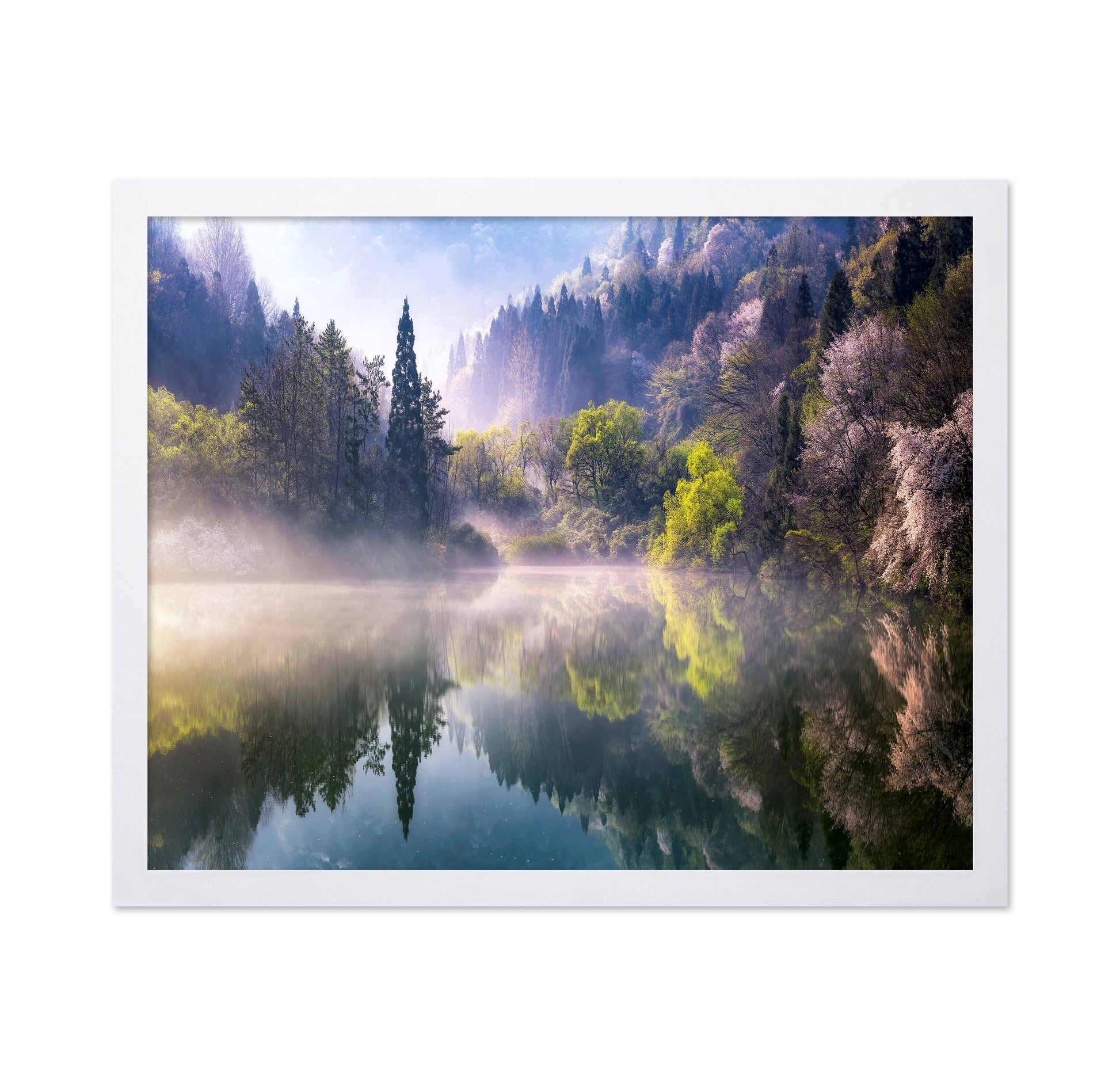 Morning Calm