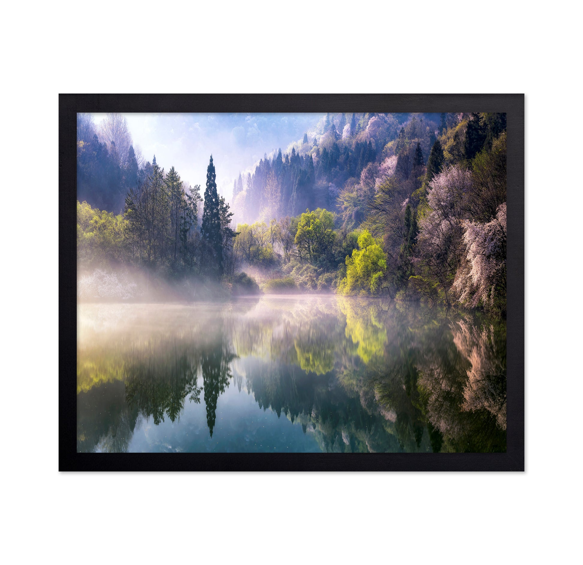 Morning Calm