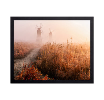 Morning Mist