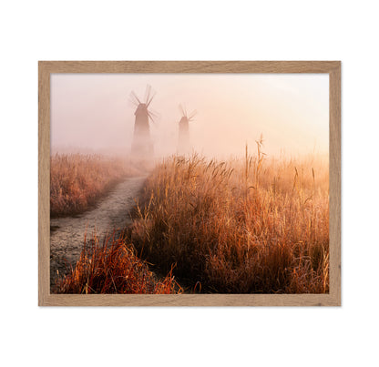 Morning Mist