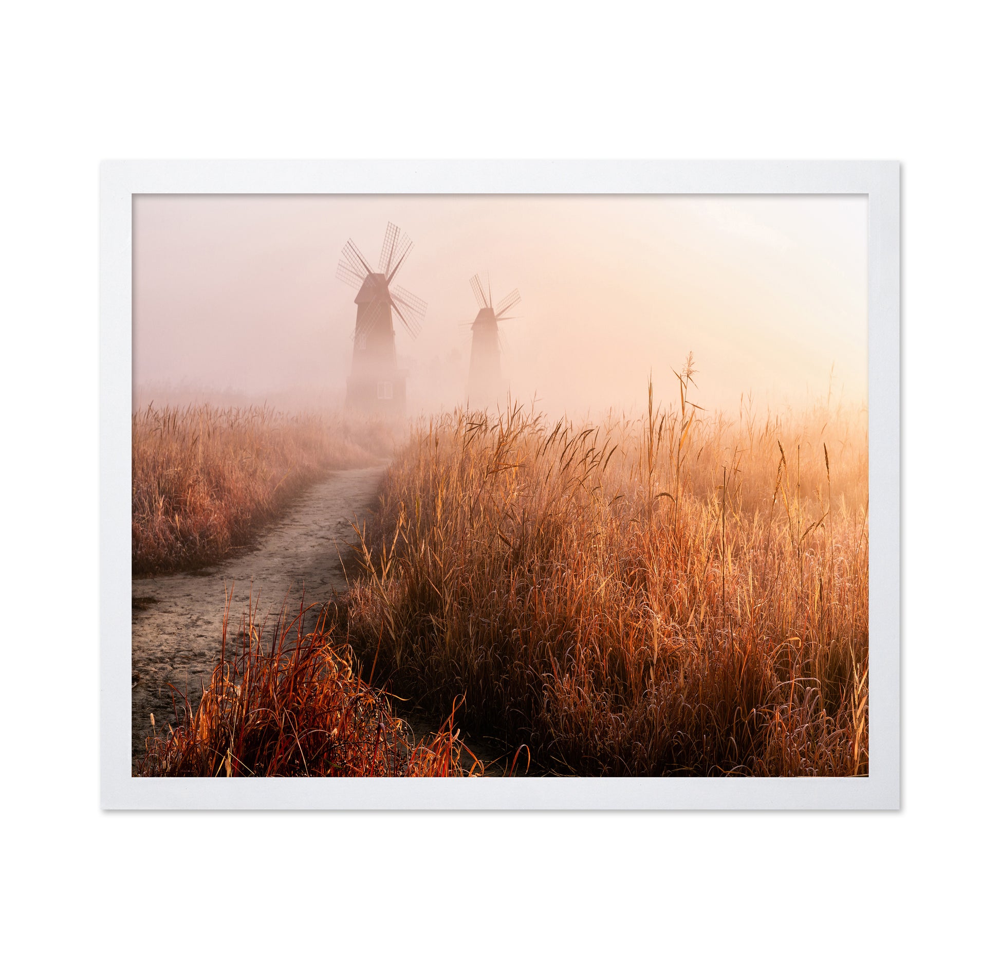 Morning Mist