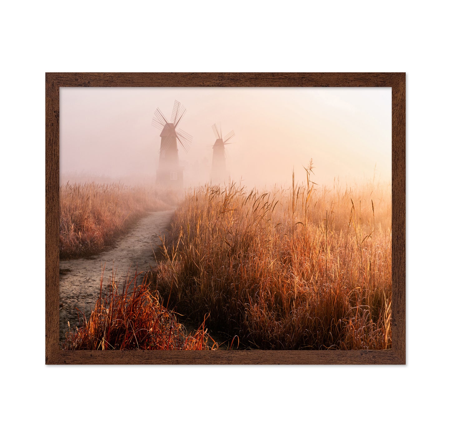 Morning Mist