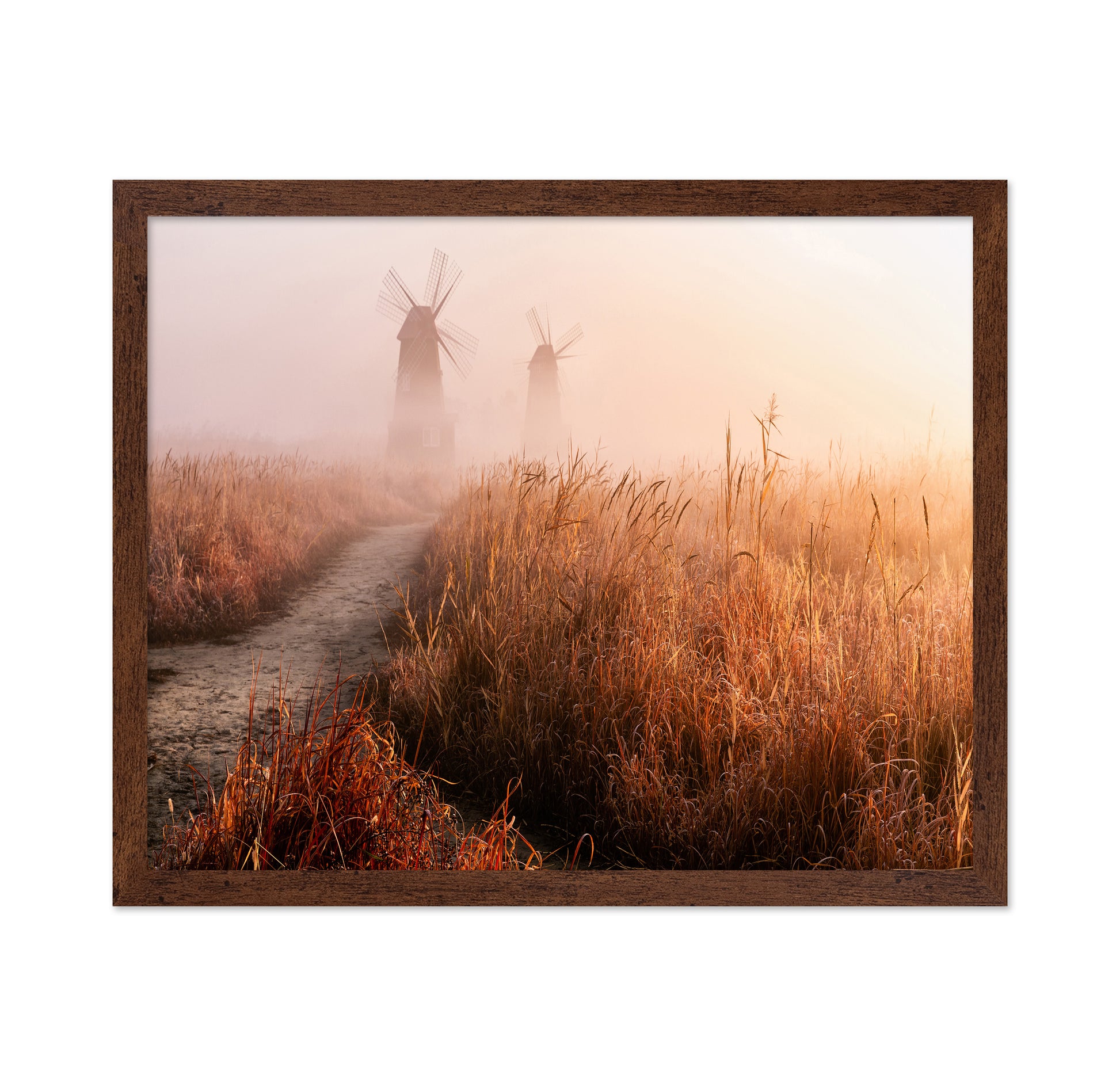 Morning Mist