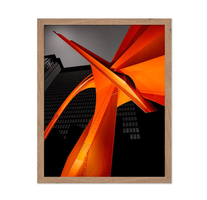 Chicago Flamingo