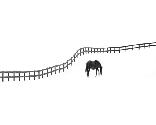 Self-Isolation