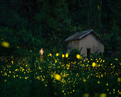 A Little Girl And Firefly