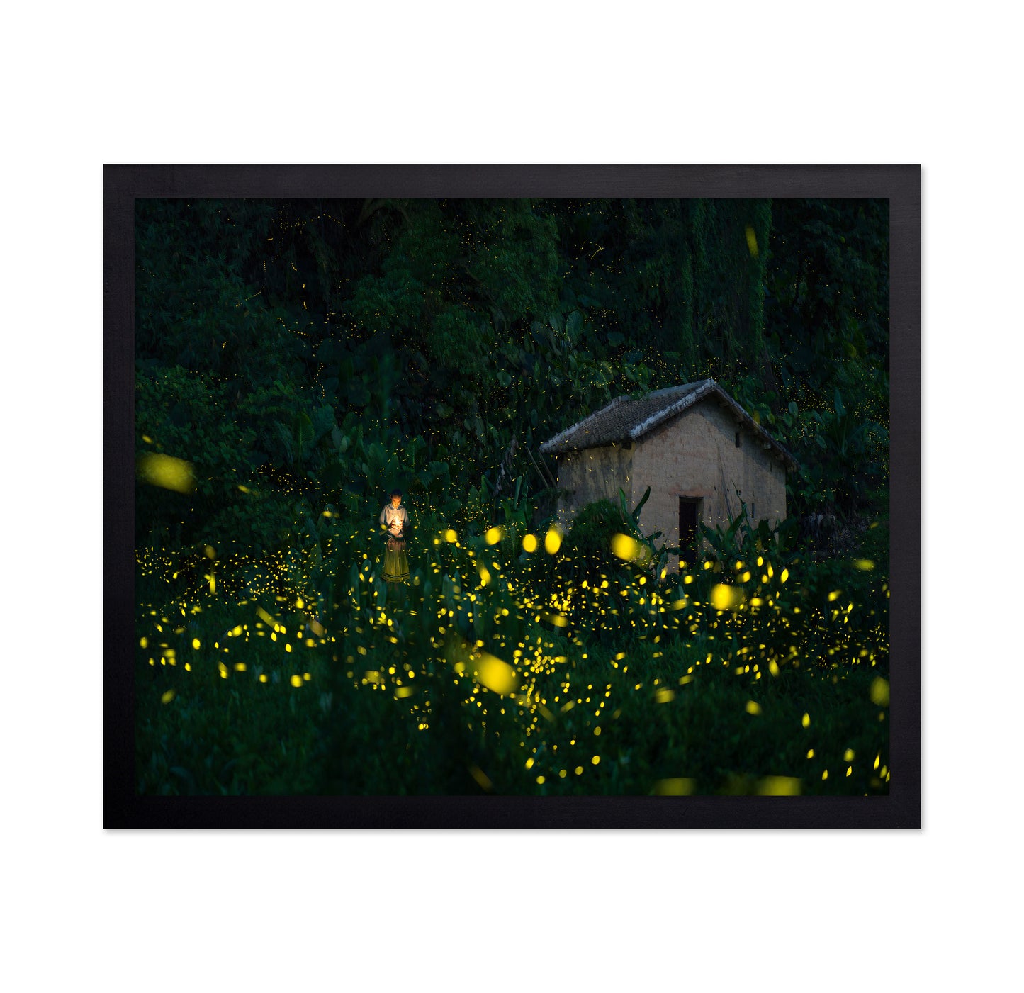 A Little Girl And Firefly