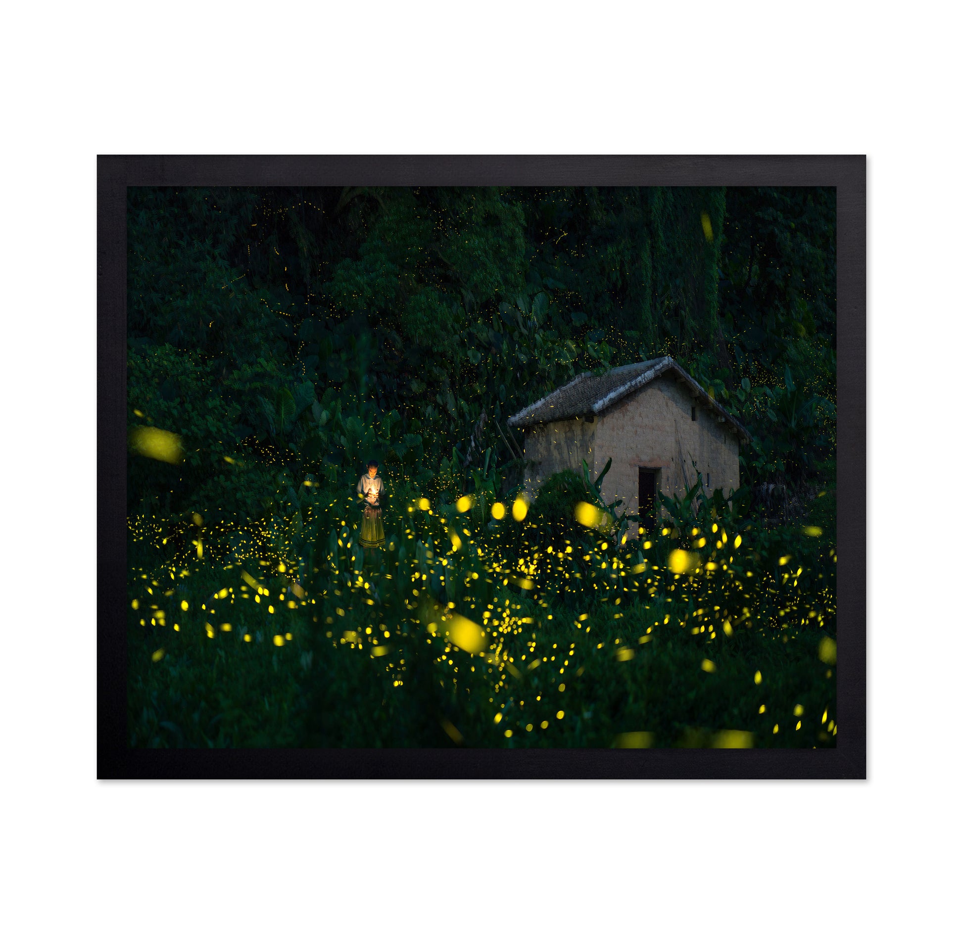 A Little Girl And Firefly