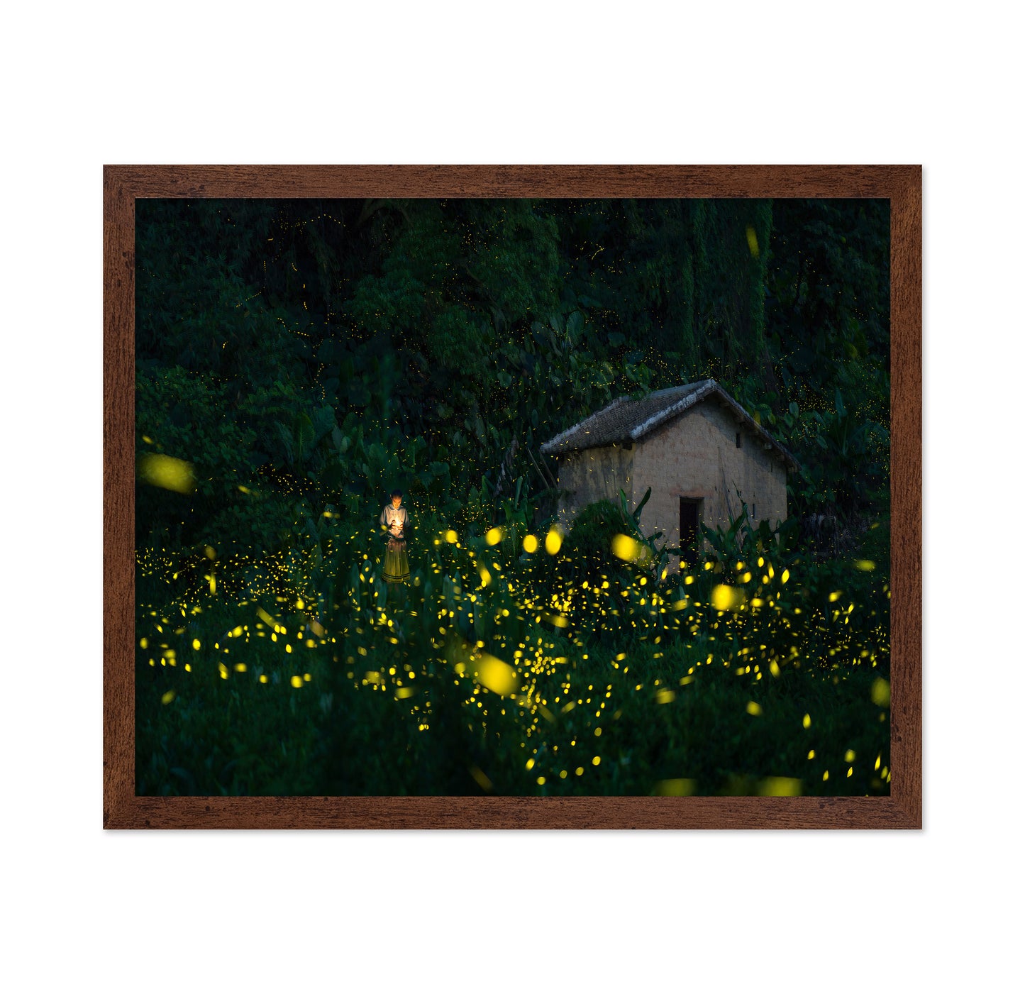A Little Girl And Firefly