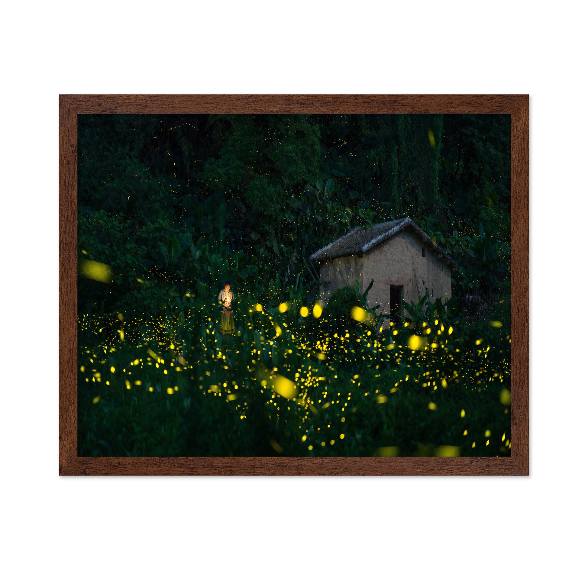 A Little Girl And Firefly