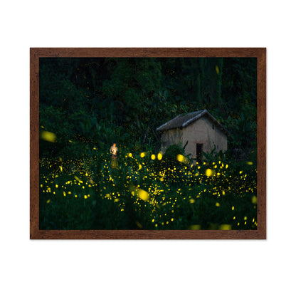 A Little Girl And Firefly