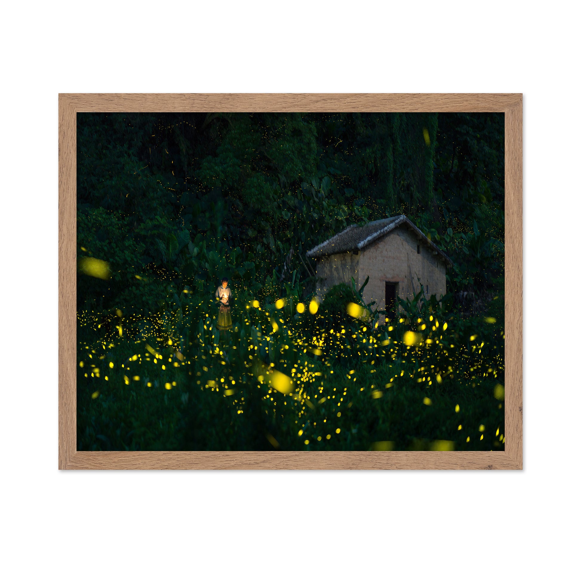 A Little Girl And Firefly
