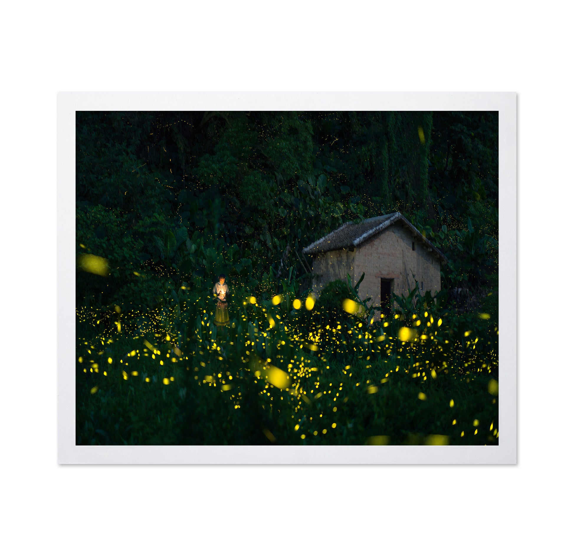 A Little Girl And Firefly