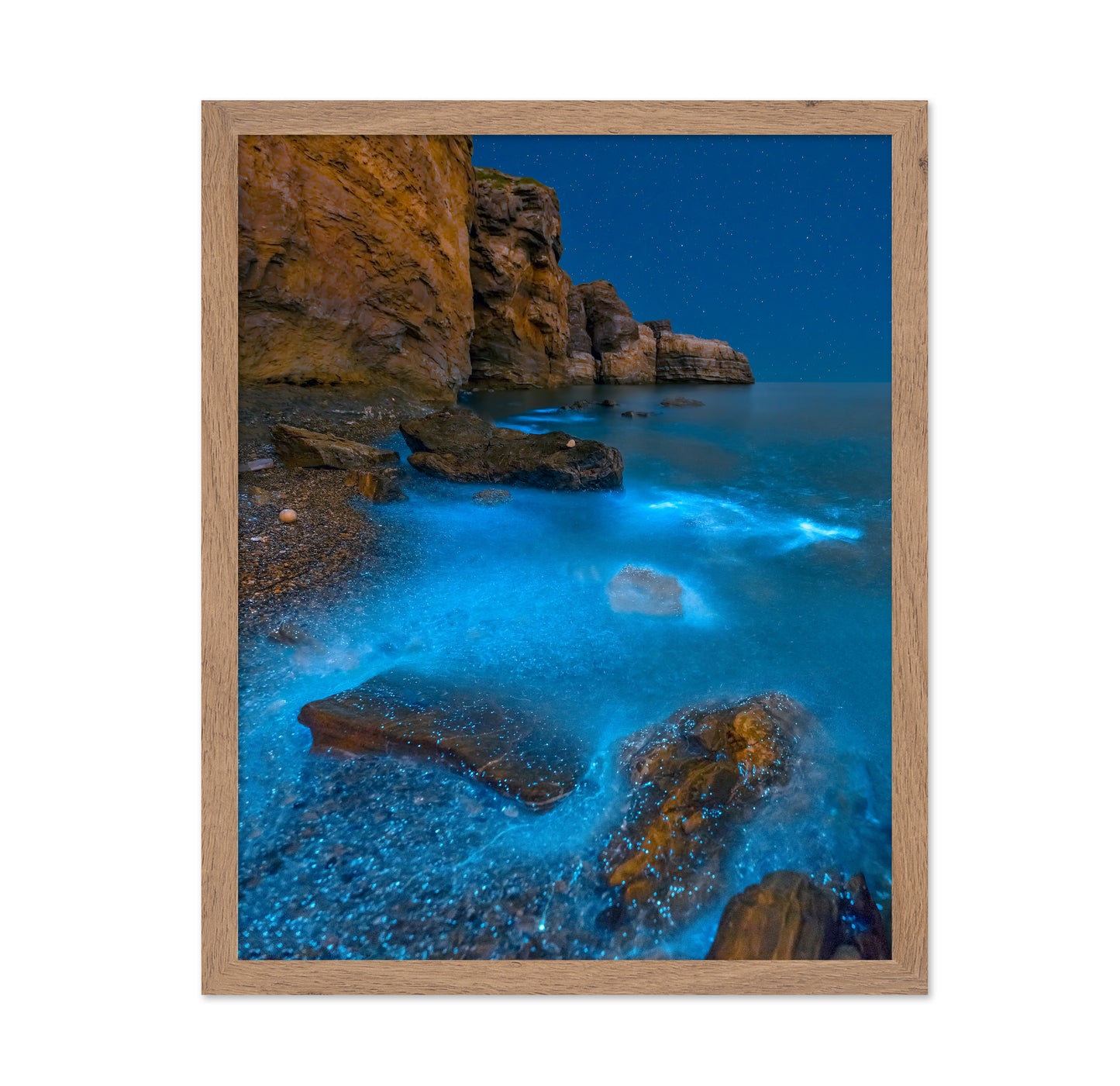 Bioluminescent Bay