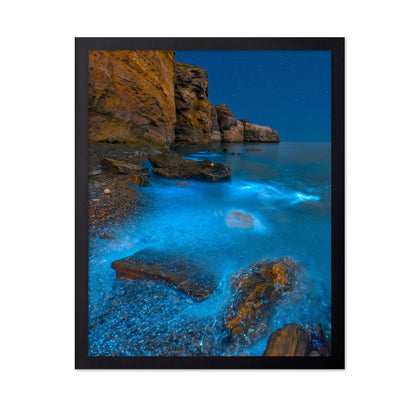 Bioluminescent Bay