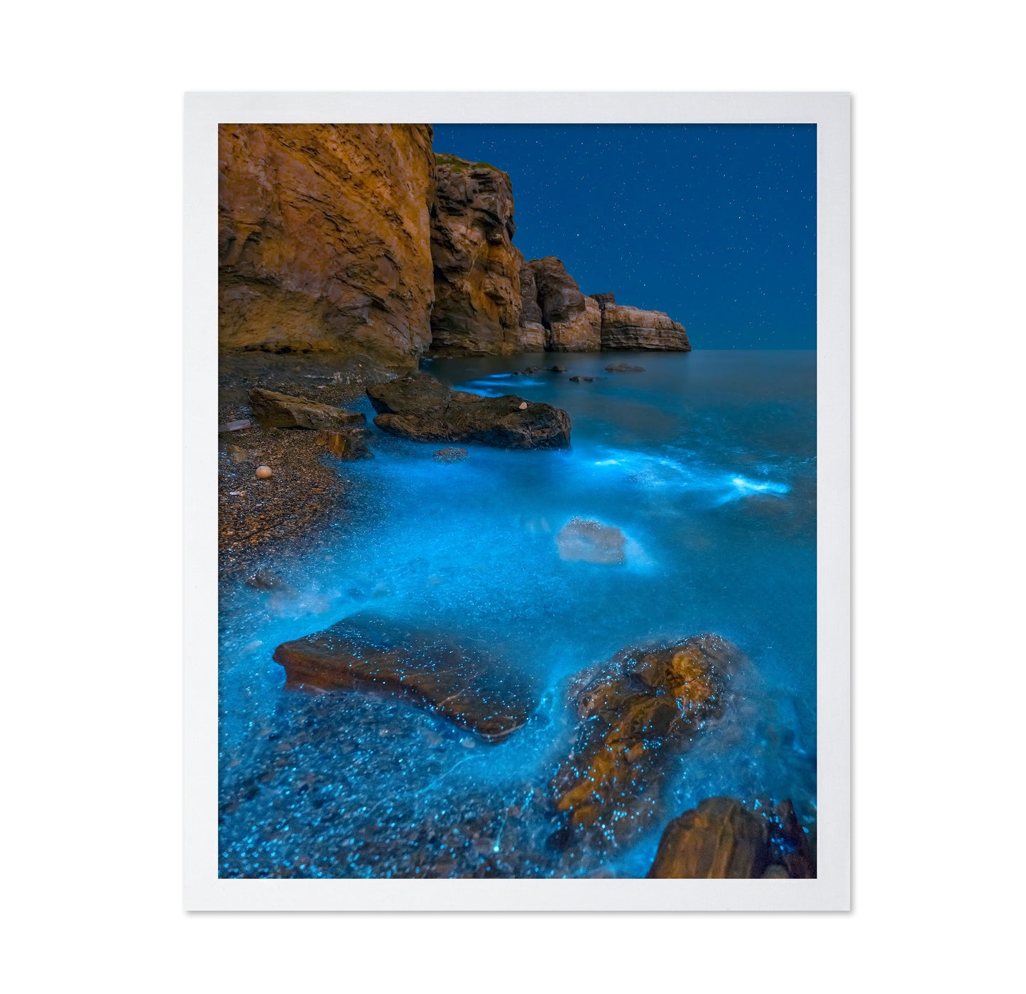 Bioluminescent Bay