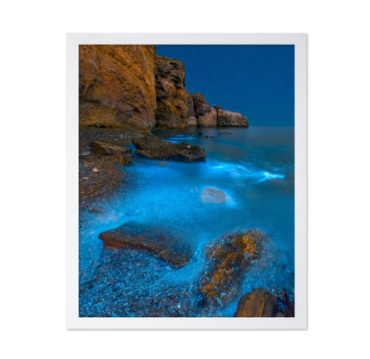 Bioluminescent Bay