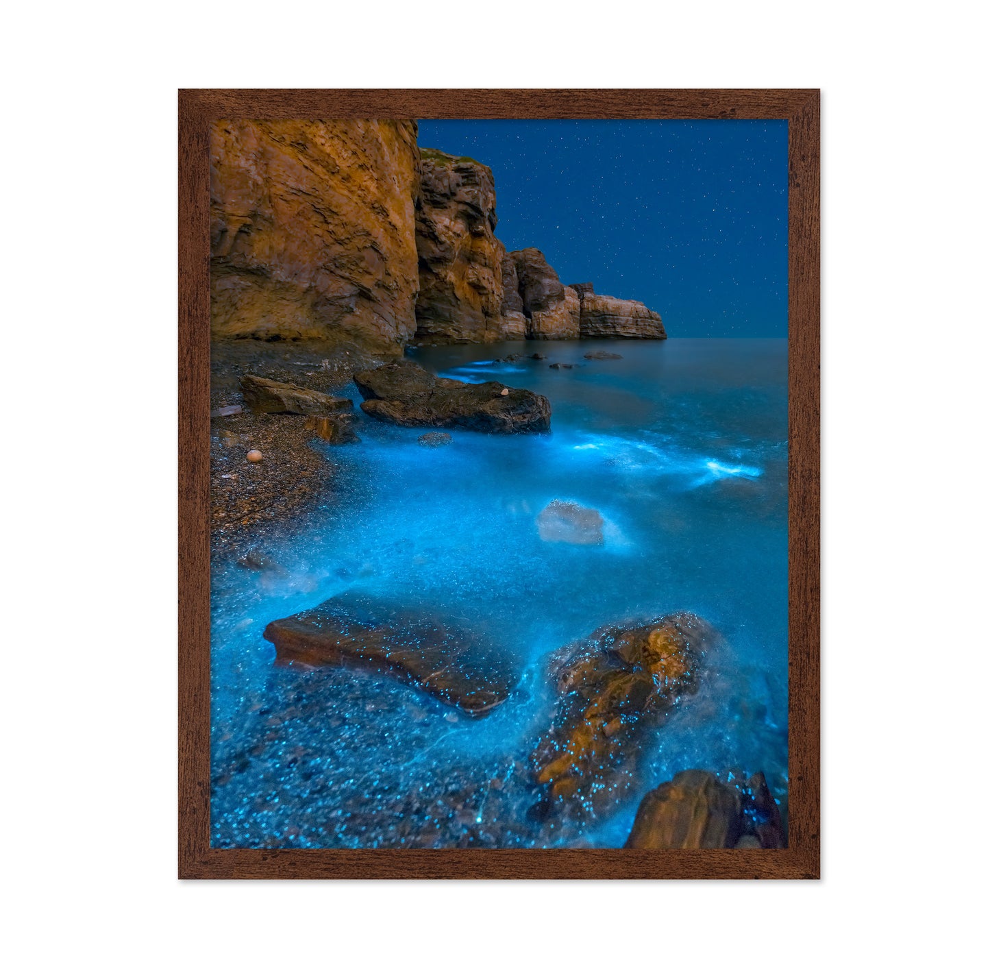Bioluminescent Bay