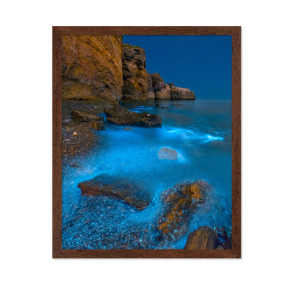 Bioluminescent Bay