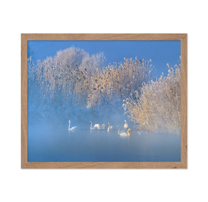Blue Swan Lake