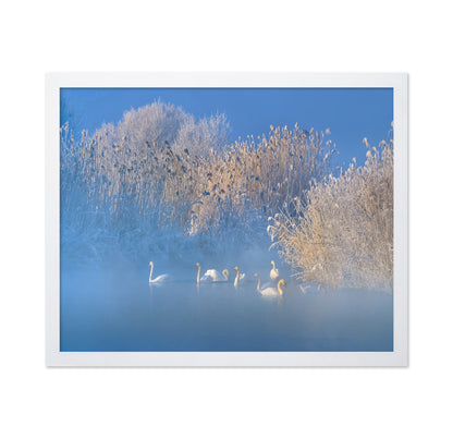 Blue Swan Lake