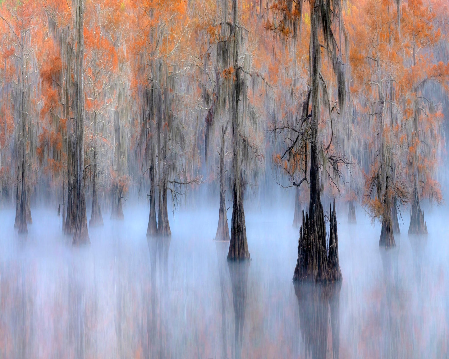 Caddo Lake
