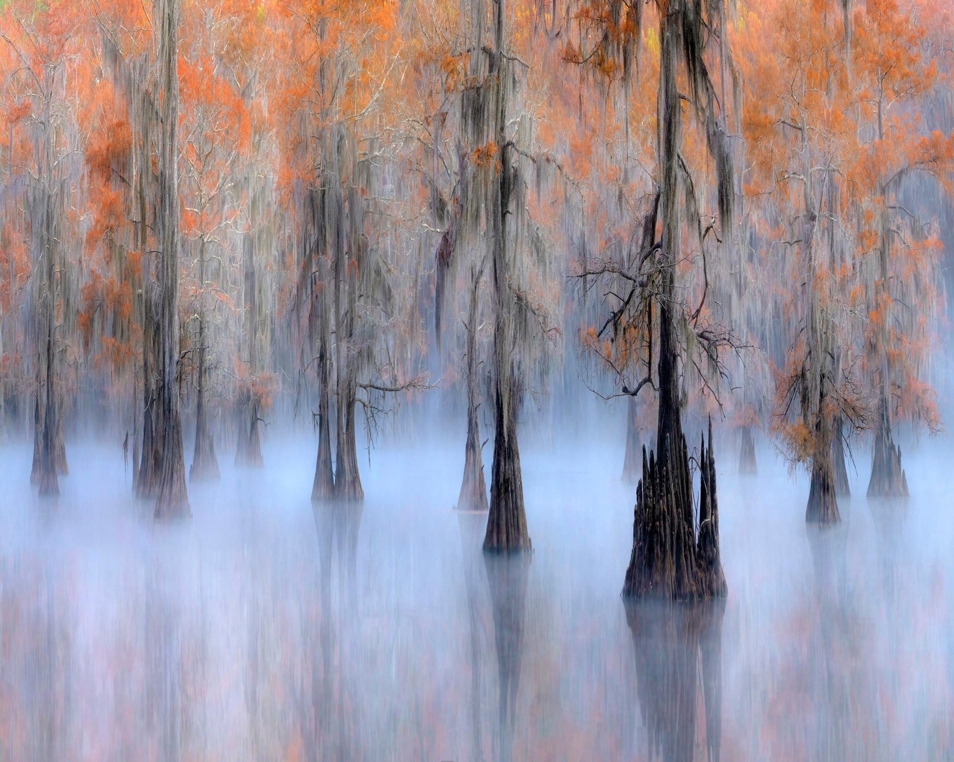 Caddo Lake