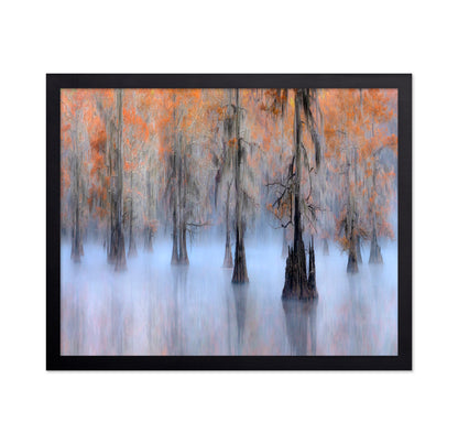 Caddo Lake