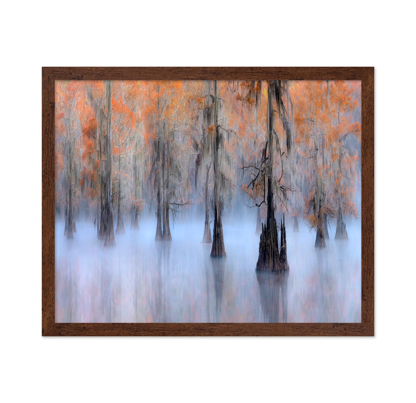 Caddo Lake