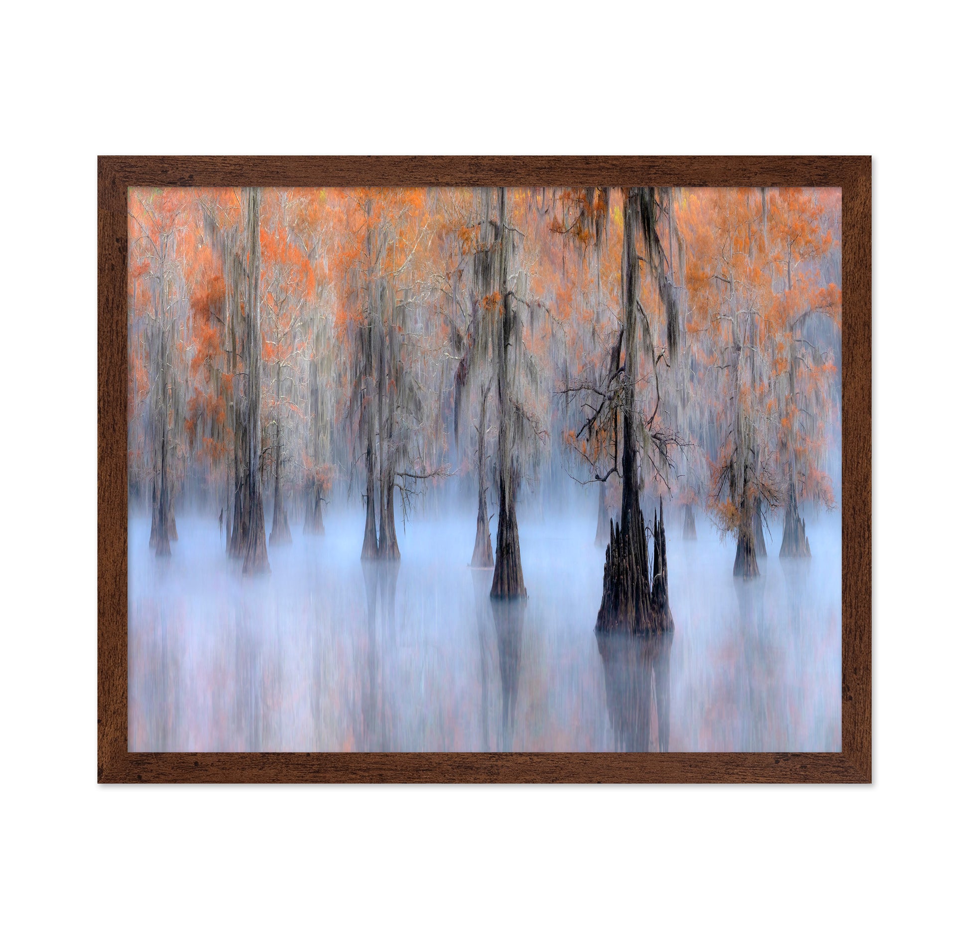 Caddo Lake