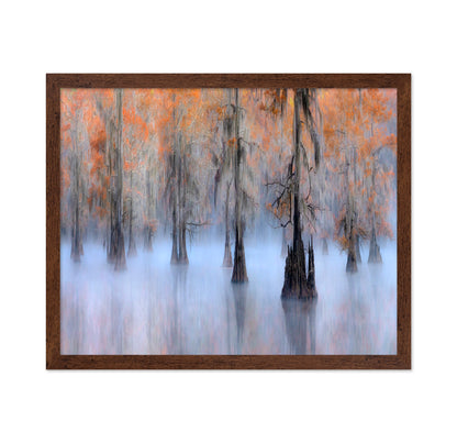 Caddo Lake
