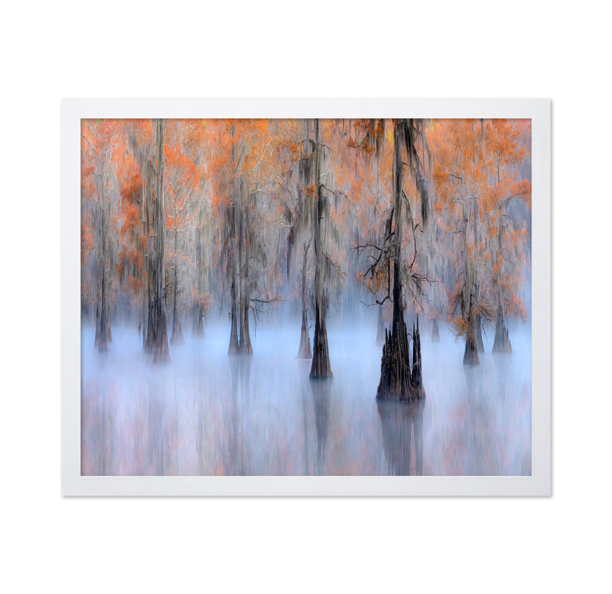 Caddo Lake