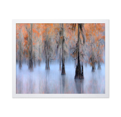 Caddo Lake