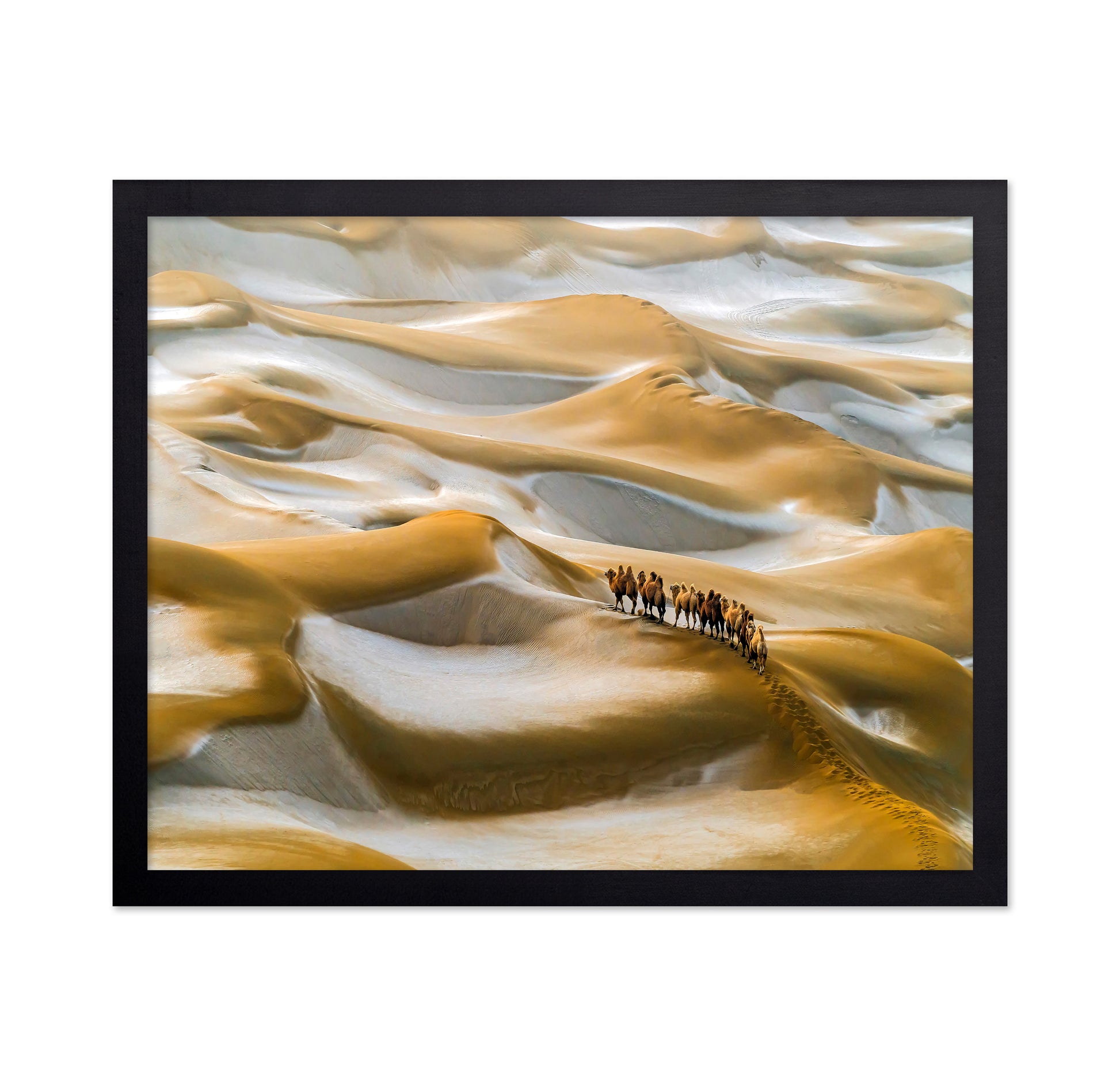Desert Winter