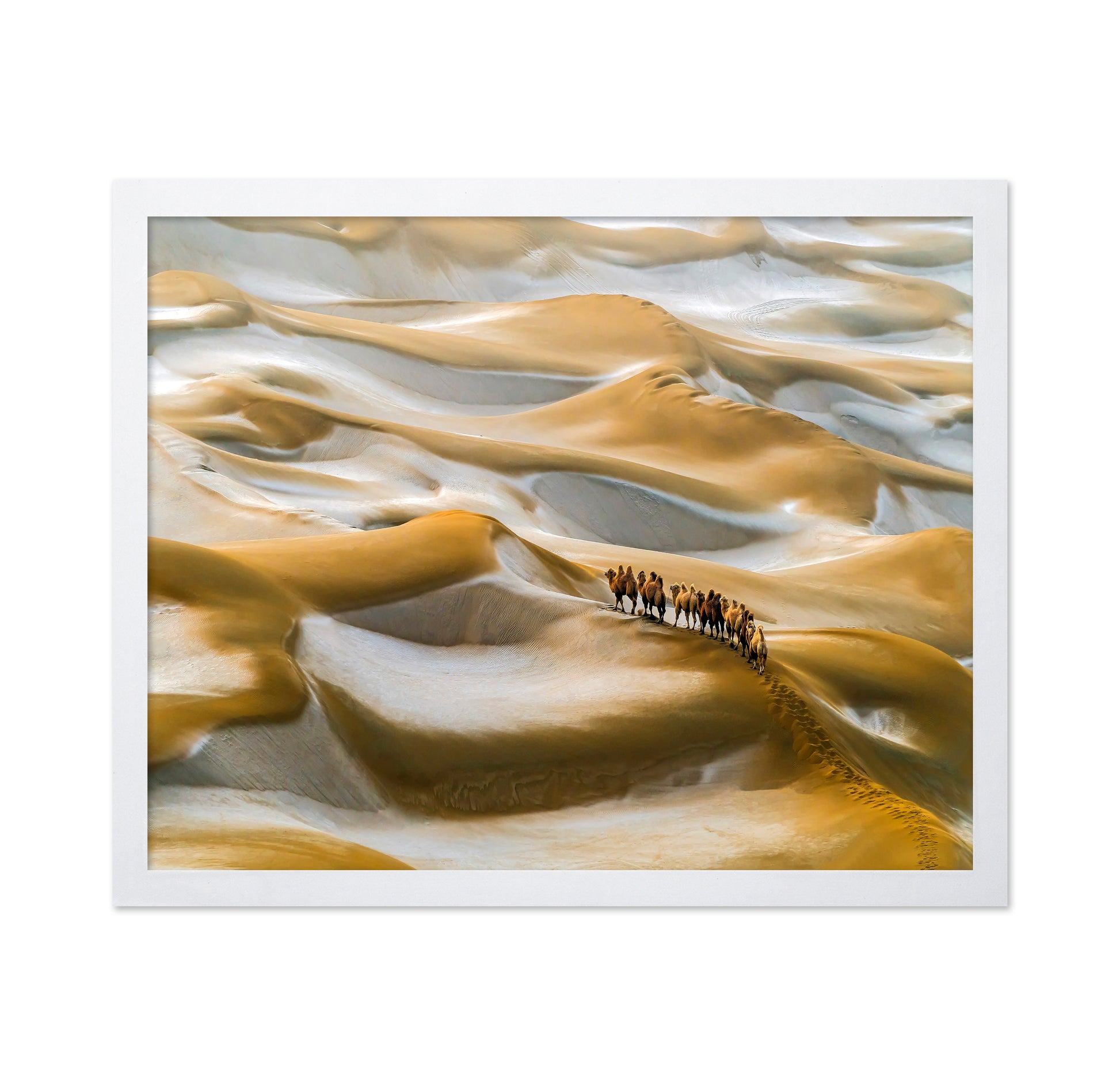 Desert Winter