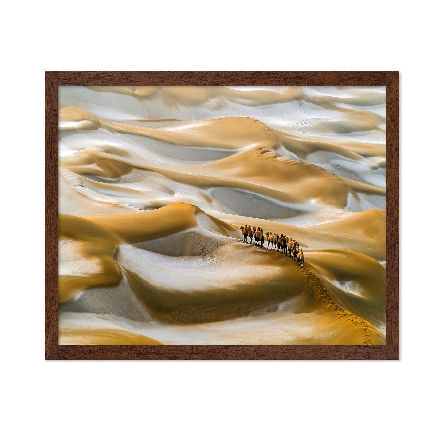 Desert Winter