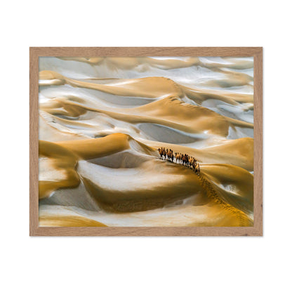 Desert Winter