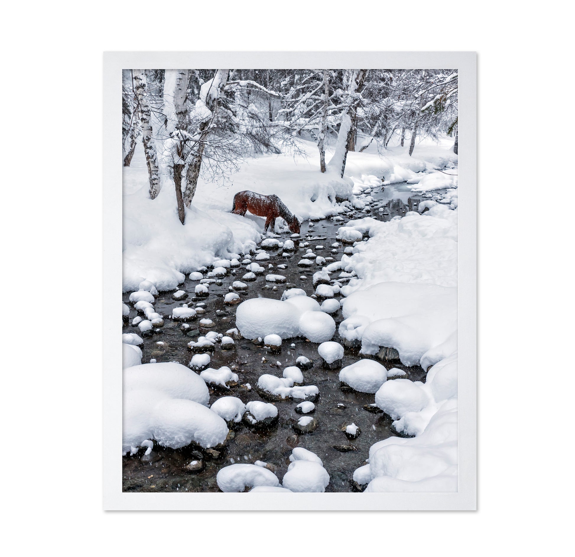 Snowy Forest Horse