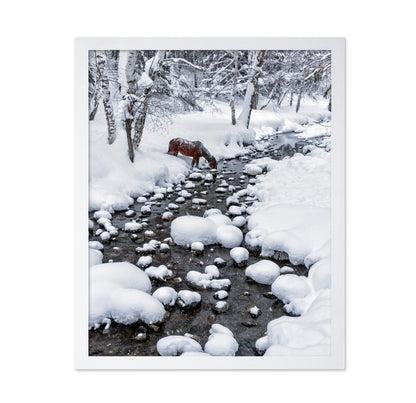 Snowy Forest Horse