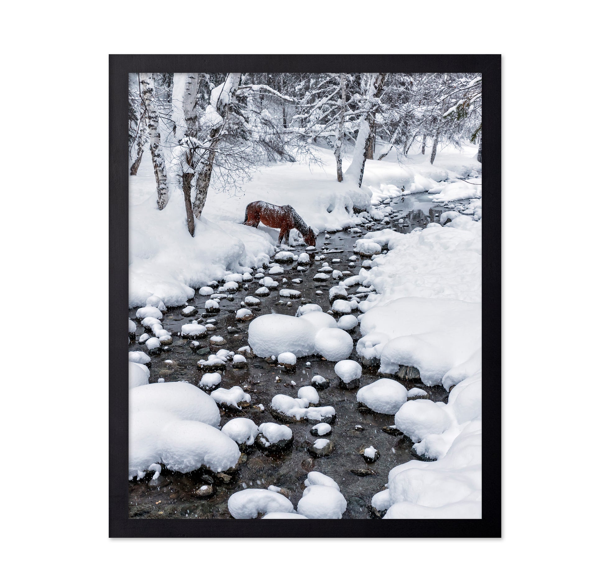 Snowy Forest Horse