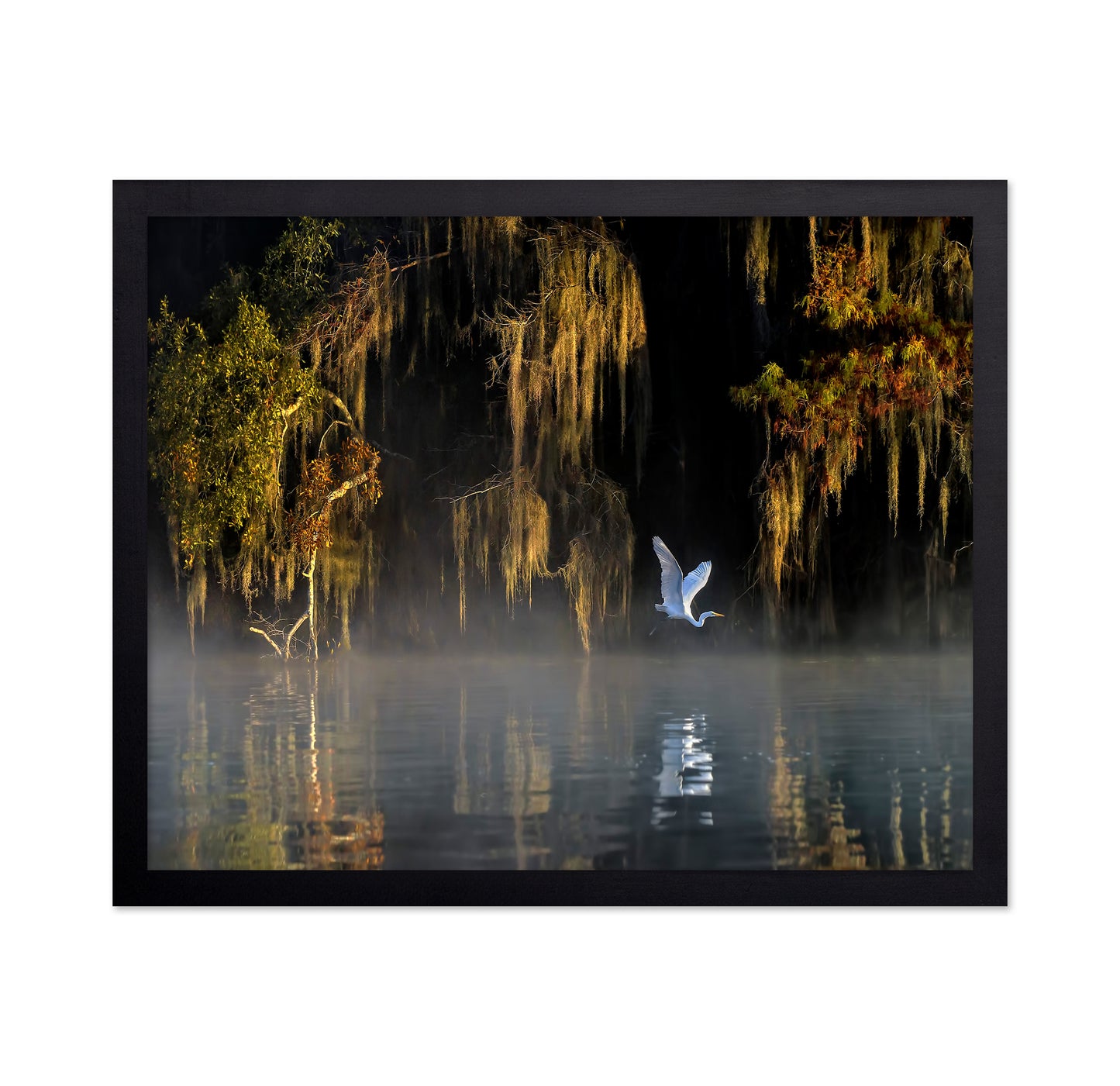 White Heron Wetland