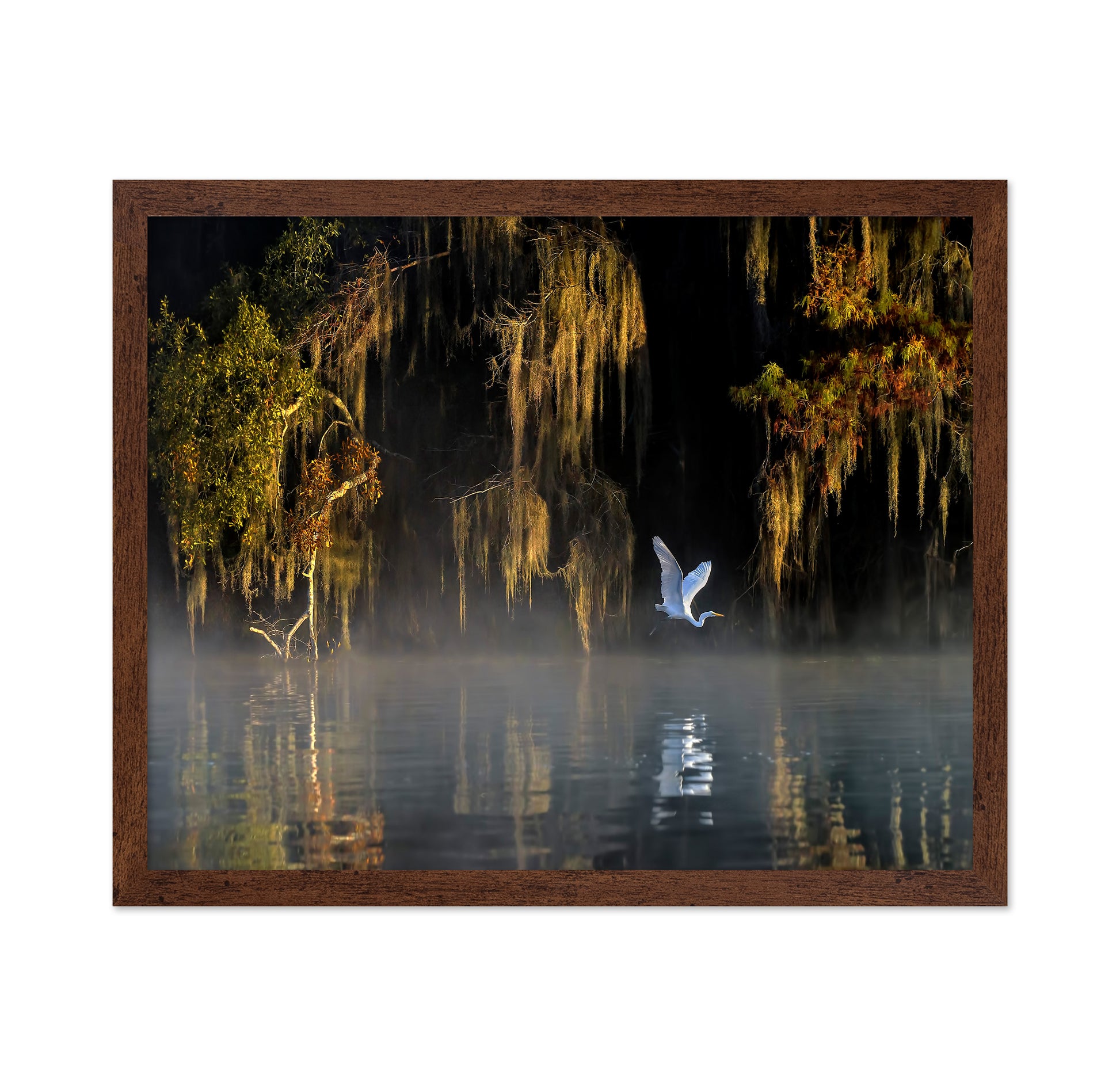 White Heron Wetland