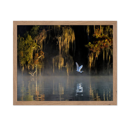 White Heron Wetland