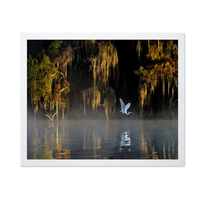 White Heron Wetland
