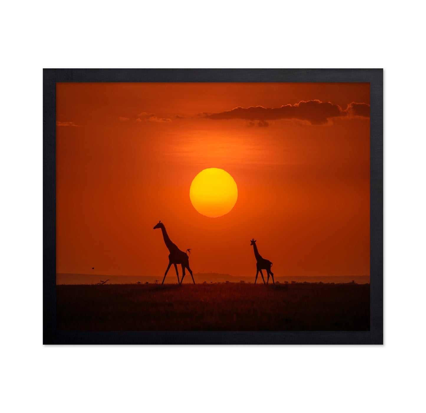 Giraffes In The Sunset